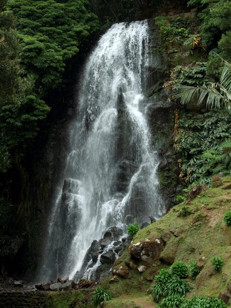 Foto cascada en las azores