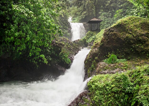 Cascada de belleza