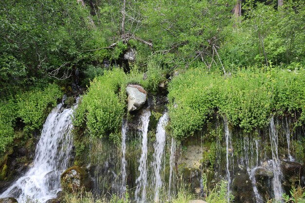 Foto la cascada de big spring en el bosque de eureka plumas en california