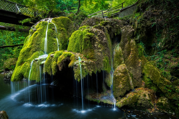 La cascada Bigar está situada en 45 Parallel, en el bosque de las montañas Anina, condado de Caras Severin, Rumania