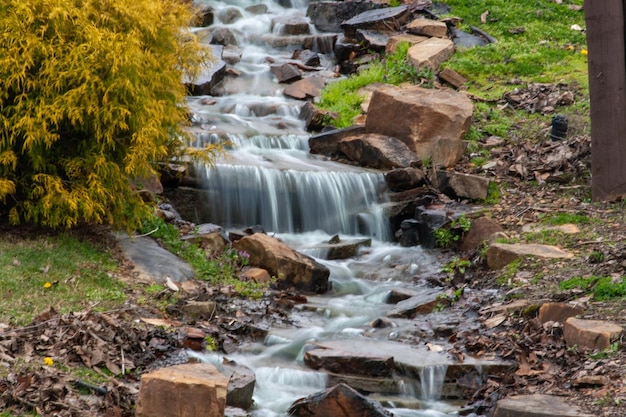 Foto una cascada en el bosque con un árbol verde al fondo