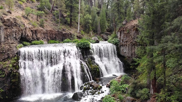 Una cascada en el bosque con árboles al fondo.