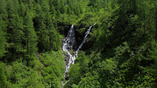 Una cascada en el bosque con árboles verdes.