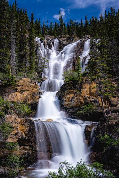 Una cascada en el bosque con un bosque al fondo.