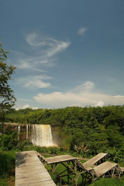 Foto una cascada en el bosque con un cielo azul de fondo