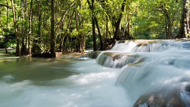 cascada, bosque de fondo, paisaje