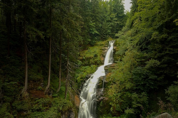 Cascada en el bosque montaña agua vida silvestre montaña río convirtiéndose en una cascada
