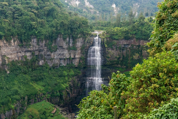 Cascada en un bosque con montañas