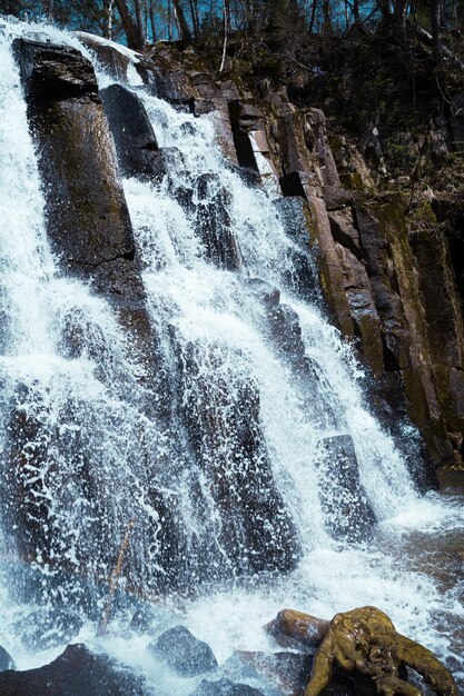 cascada en el bosque de otoño