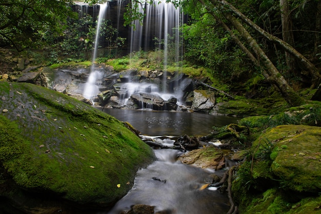 Cascada en el bosque en el parque nacional de phukradung en la provincia de loei Tailandia