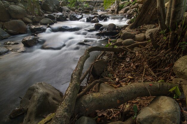 Cascada en el bosque profundo en Chanthaburi, Tailandia