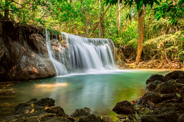 Cascada en bosque profundo