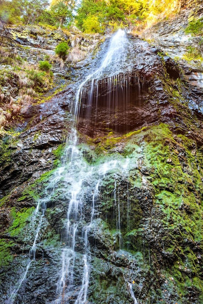 Cascada en el bosque salvaje. Cascada de agua de la roca