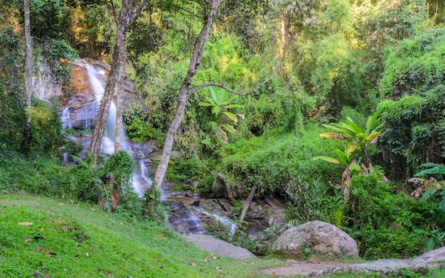 Cascada del bosque siempre verde en la montaña Doi Suthep en Chiang Mai, Tailandia