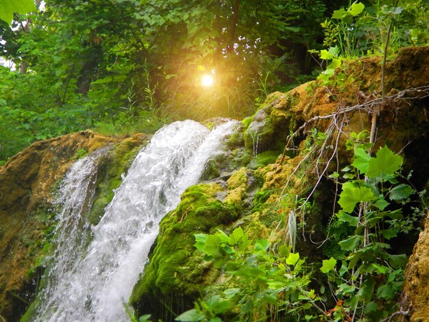 Una cascada en el bosque con el sol brillando a través de los árboles.