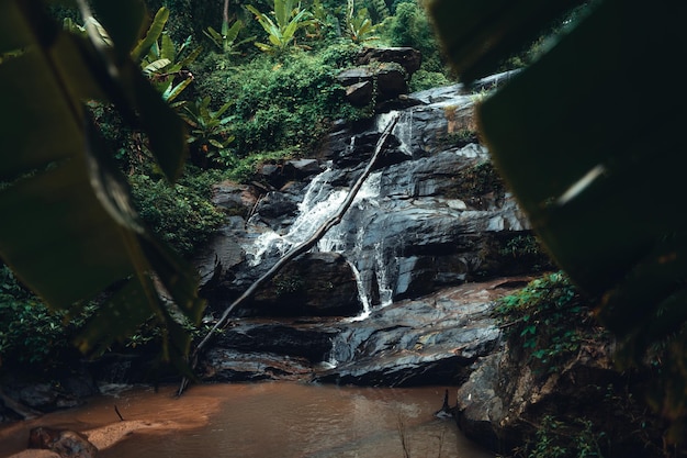 Cascada en el bosque tropical en la temporada de lluvias