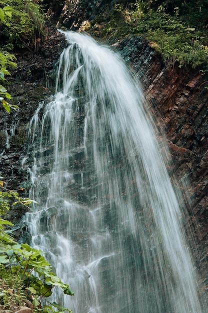 Una cascada en el bosque tropical