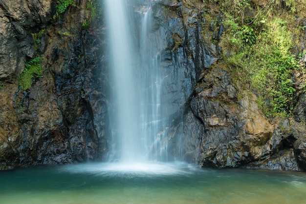 Foto cascada en el bosque tropical