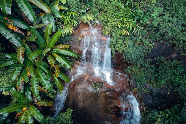 Cascada en bosque tropicalcascada en selva