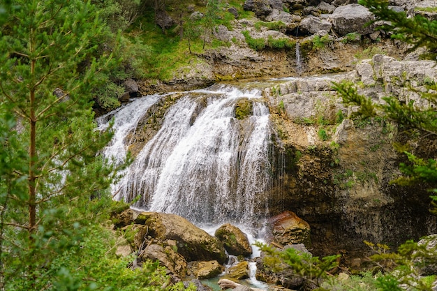 Cascada en el bosque verde con rocas y pinos que enmarcan la cascada.