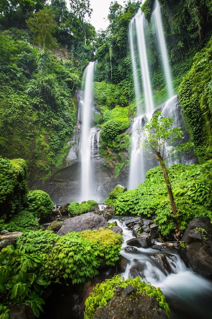 Foto cascada en el bosque