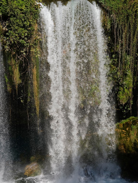 Una cascada en el bosque