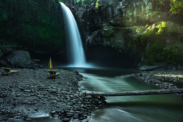 Cascada en el bosque