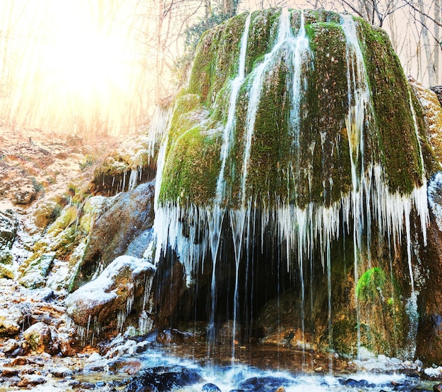 Cascada en el bosque