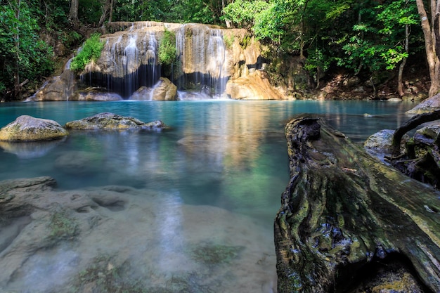 cascada en el bosque