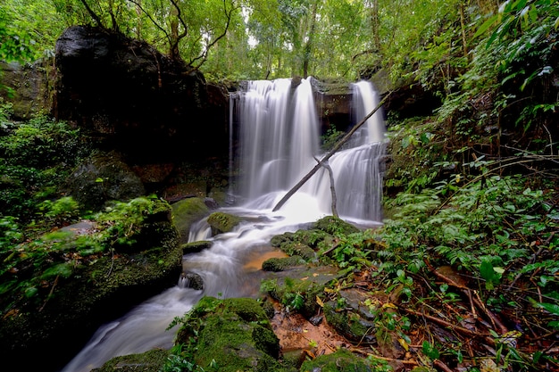 Cascada en el bosque