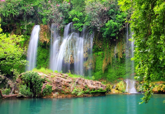 Cascada en el bosque