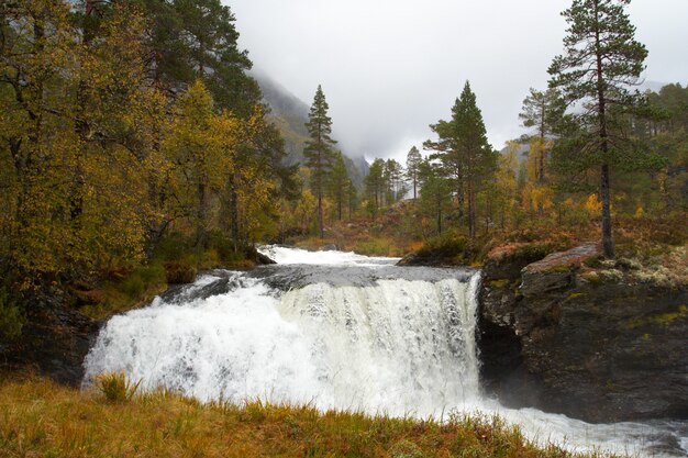 Cascada en los bosques de otoño, Noruega