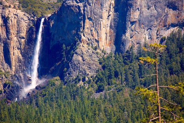 Cascada de caída de Yosemite Bridalveil en el Parque Nacional