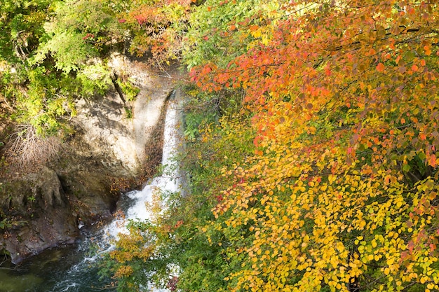 Cascada en el cañón de Naruko