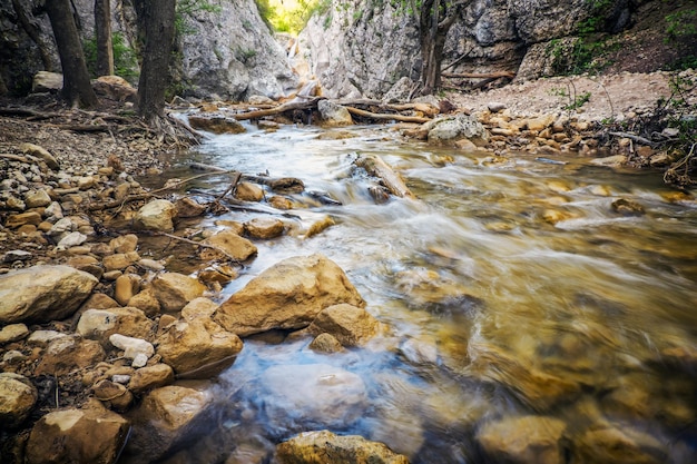 Cascada de cascadas entre piedras Agua esponjosa Paisaje primaveral Caída de agua