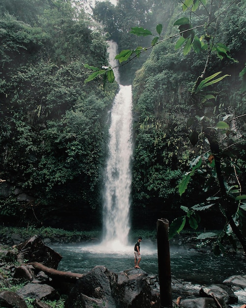 Cascada Cascadas