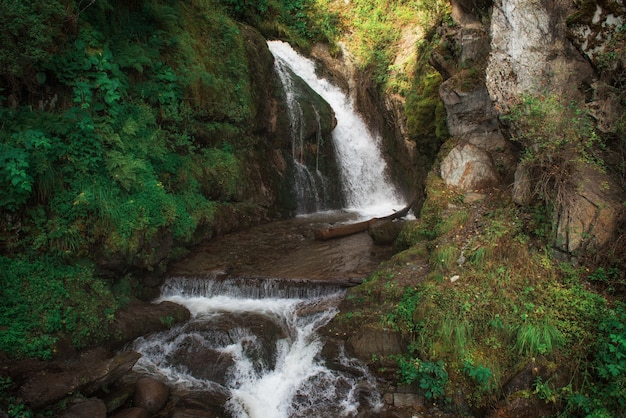 Cascada de choodor en el lago teletskoye