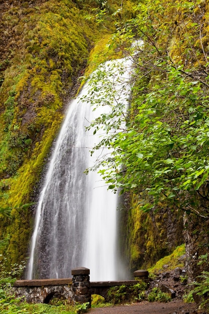 Cascada en Colombia