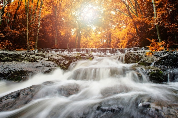 Cascada y corriente azul en el bosque amarillo Tailandia