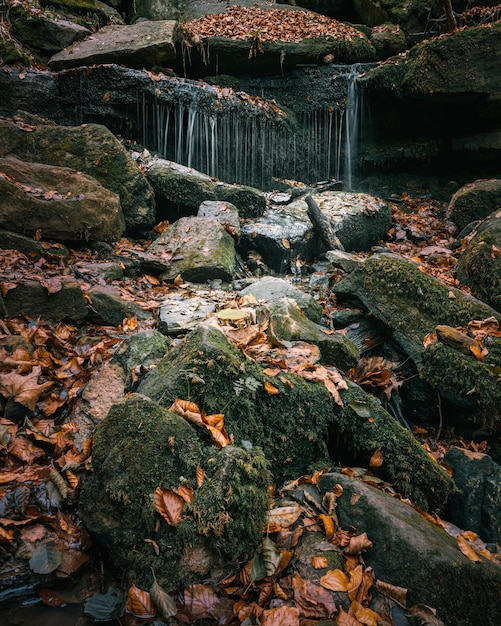 Cascada detrás de las rocas de musgo en el bosque en las hojas doradas de otoño