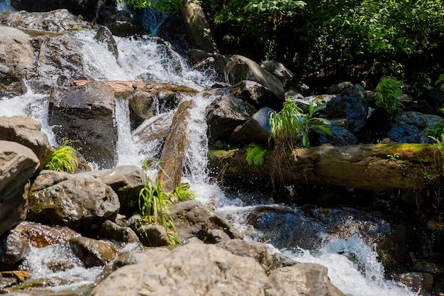 Cascada escondida del bosque lluvioso con exuberante follaje y musgo rockstropical paisaje soleado verano fresco