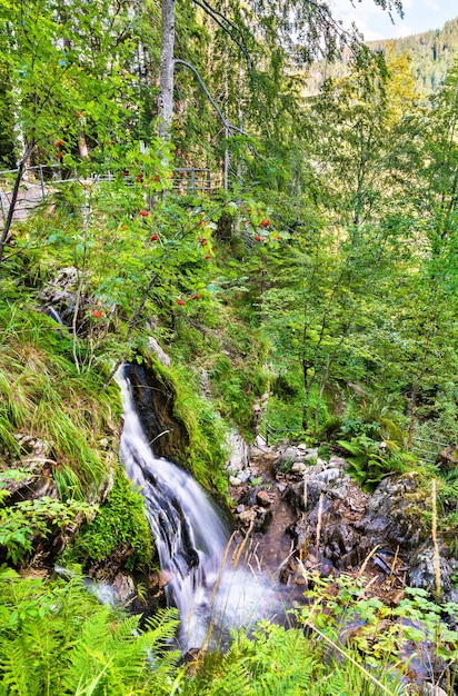 Cascada de Fahler en las montañas de la Selva Negra. Baden-Wurttemberg, Alemania