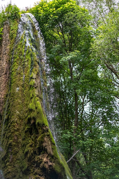cascada fluye desde la altura del acantilado cerca de los árboles en el verano. De cerca