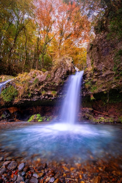 Cascada con follaje de otoño en Fujinomiya Japón