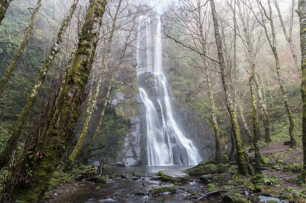 Cascada de Fonsagrada