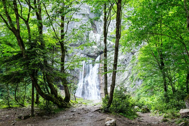 Cascada de Gegsky en el bosque, Abjasia