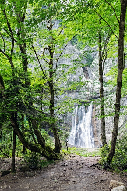 Cascada de Gegsky en el bosque, Abjasia