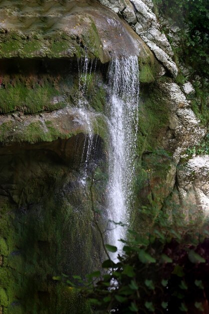 Cascada en una grieta entre las rocas detrás de los árboles Cascadas de Agur en Sochi