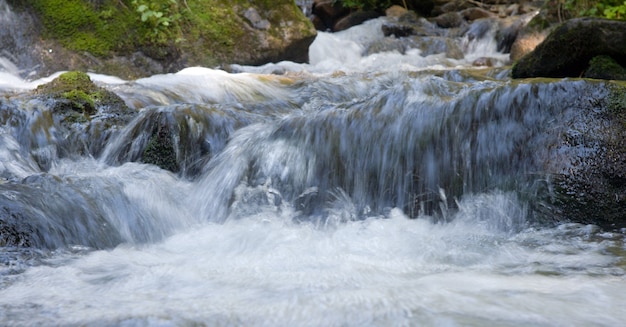 Cascada en el hermoso arroyo de montaña