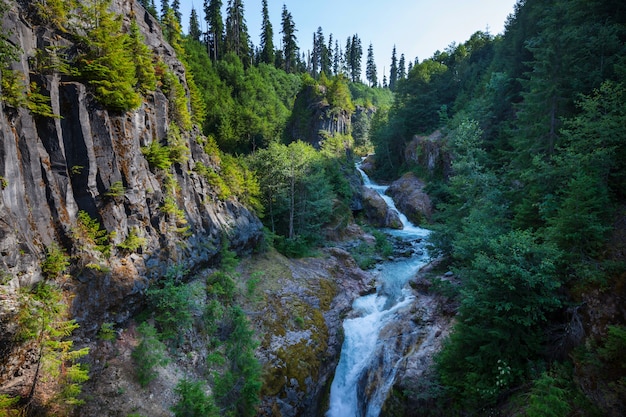 Cascada en el hermoso bosque verde